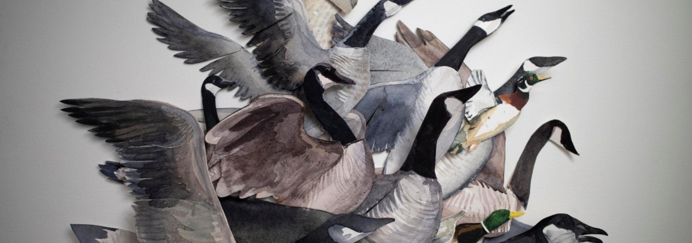 Chasse-Galerite geese by Brian Hawkins