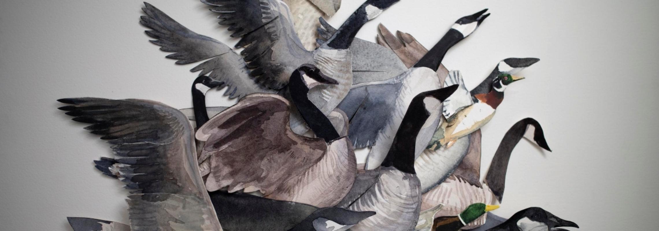 Chasse-Galerite geese by Brian Hawkins