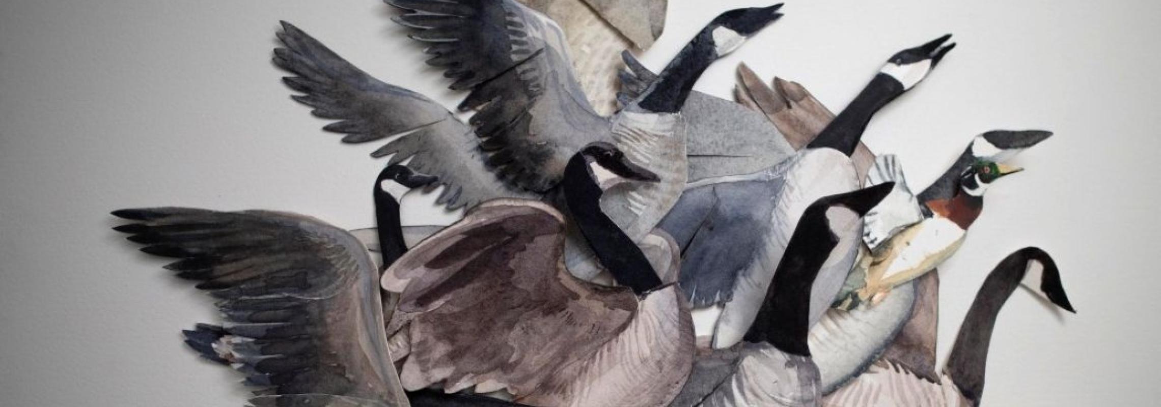 Chasse-Galerite geese by Brian Hawkins