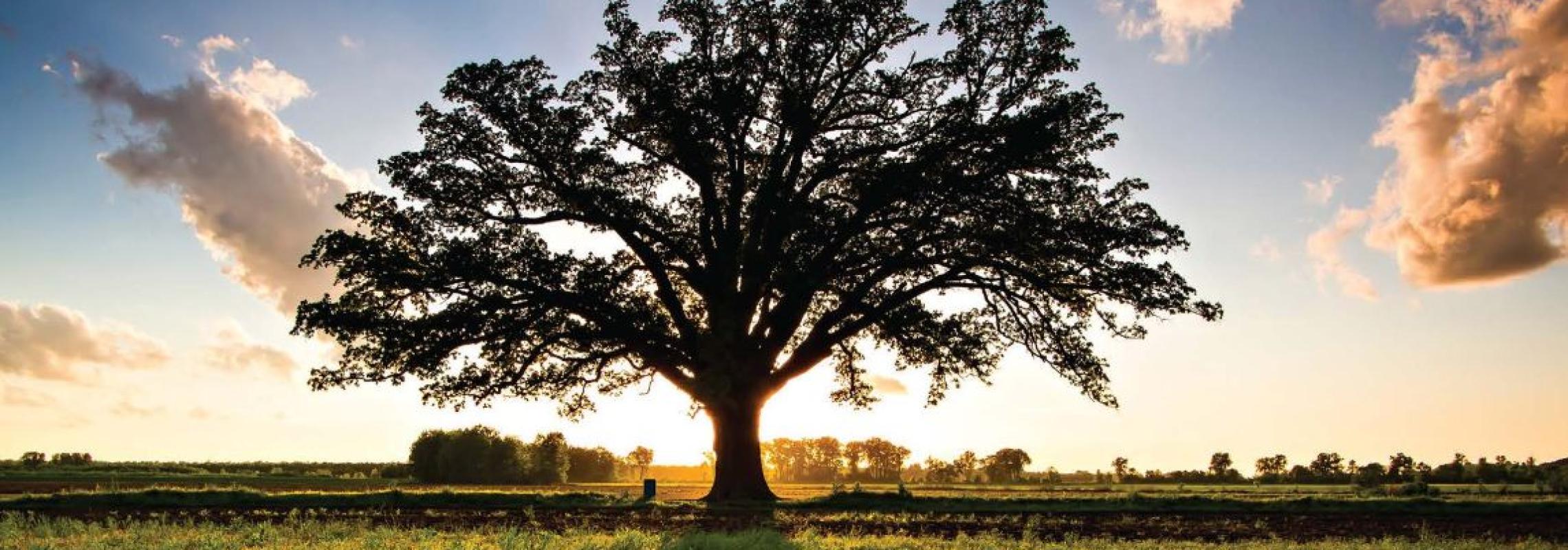 This Place of Promise by Gary Kremer