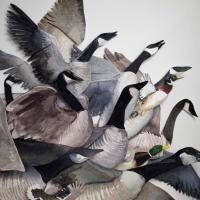 Chasse-Galerite geese by Brian Hawkins