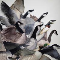 Chasse-Galerite geese by Brian Hawkins