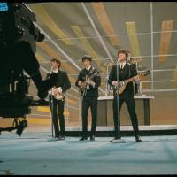 The Beetles